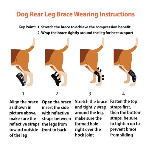 NeoAlly Rear Hock Brace, Large Dogs (Long)