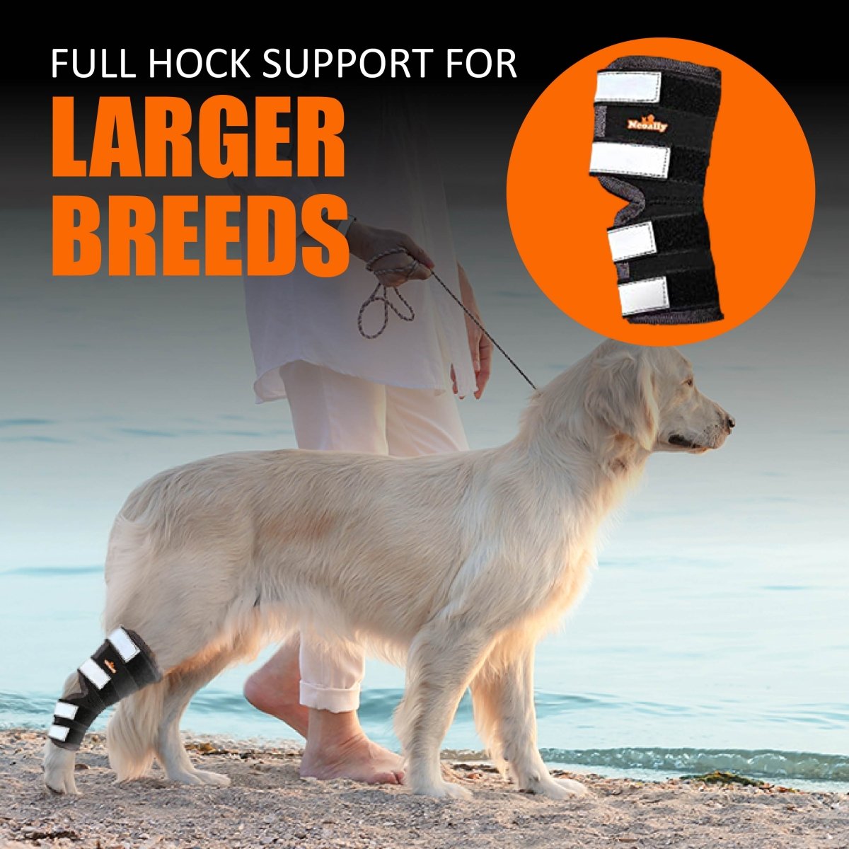 NeoAlly Rear Hock Brace, Large Dogs (Long)