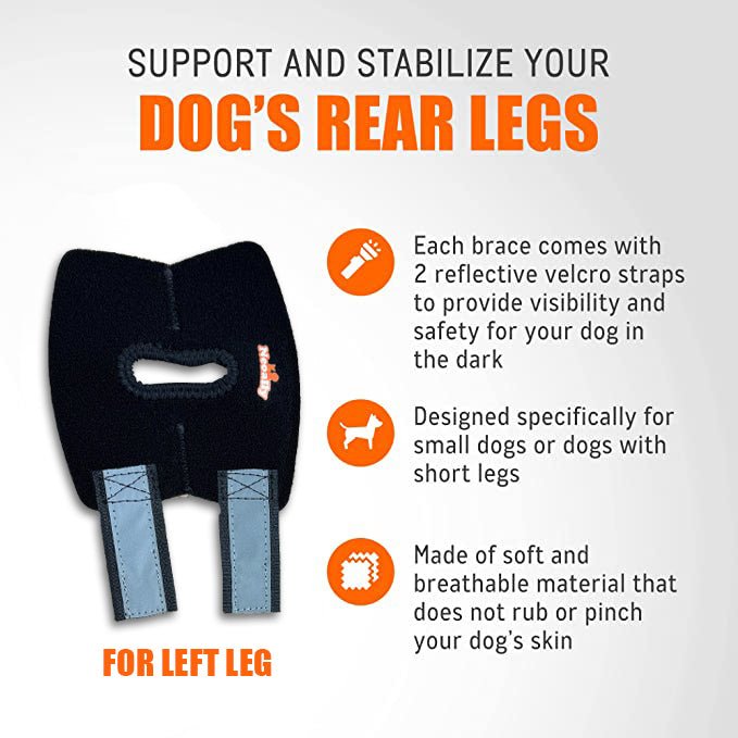 NeoAlly Rear Hock Brace, Small Dogs (Short)