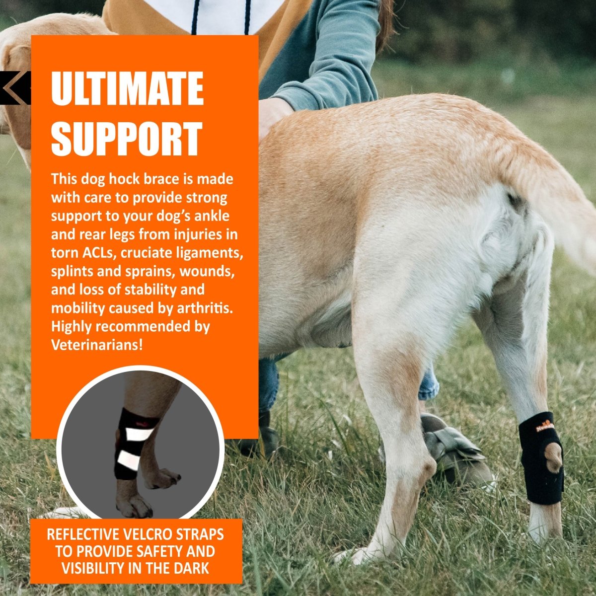 NeoAlly Rear Hock Brace, Small Dogs (Short)