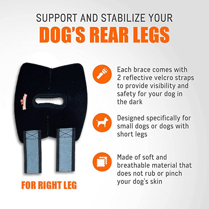 NeoAlly Rear Hock Brace, Small Dogs (Short)