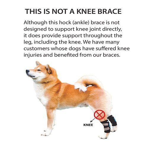 NeoAlly Rear Hock Brace, Small Dogs (Short)