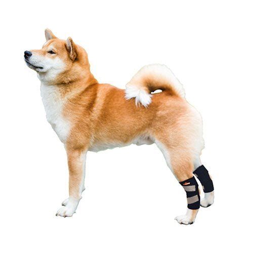 NeoAlly Rear Hock Brace, Small Dogs (Short)