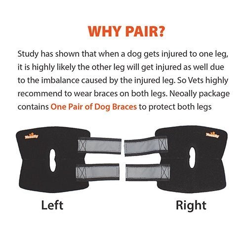 NeoAlly Rear Hock Brace, Small Dogs (Short)
