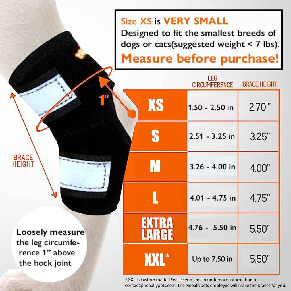 NeoAlly Rear Hock Brace, Small Dogs (Short)