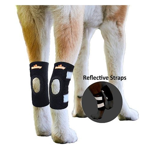 NeoAlly Rear Hock Brace, Small Dogs (Short)
