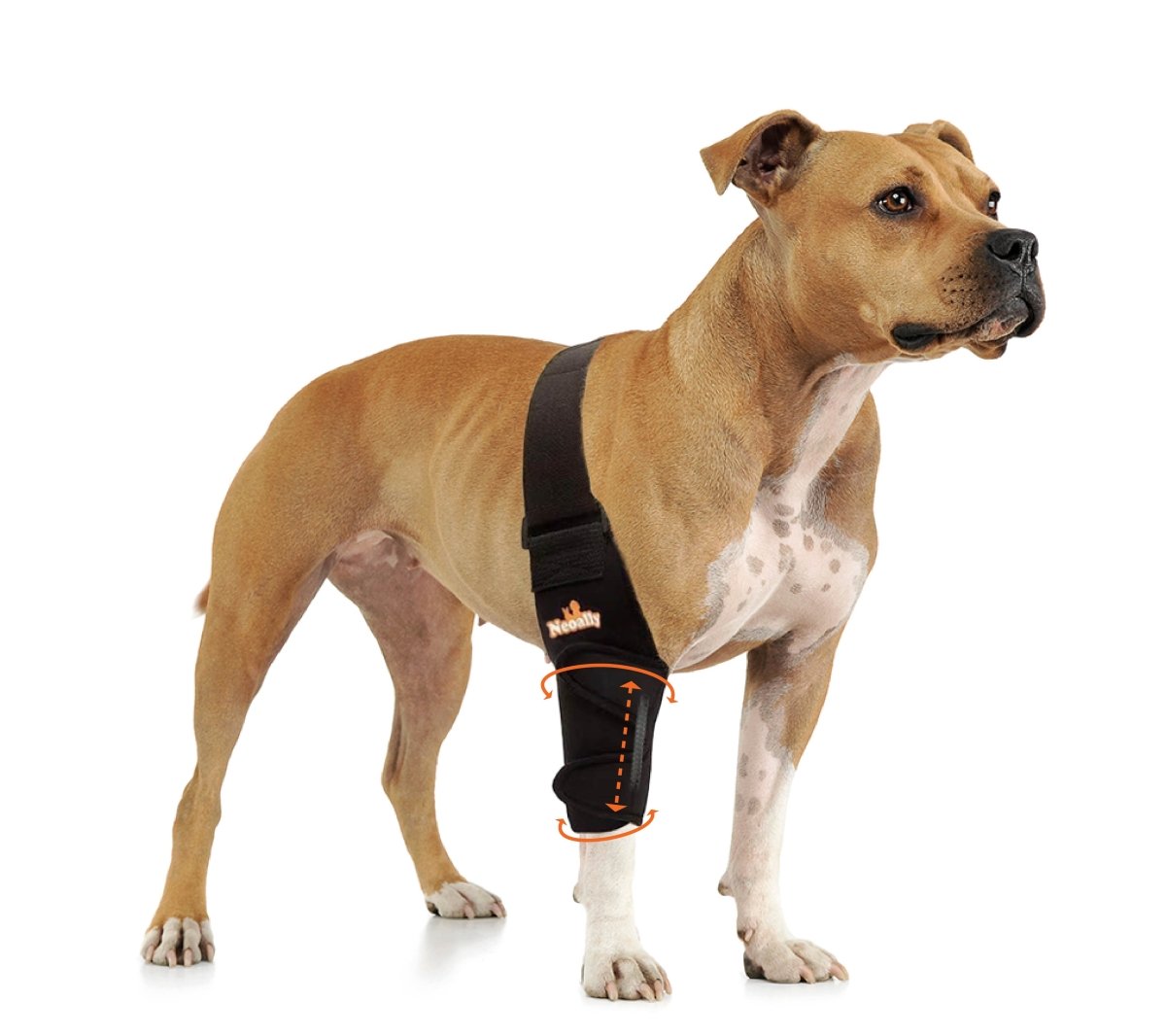NeoAlly Elbow & Shoulder Brace with Spring Inserts