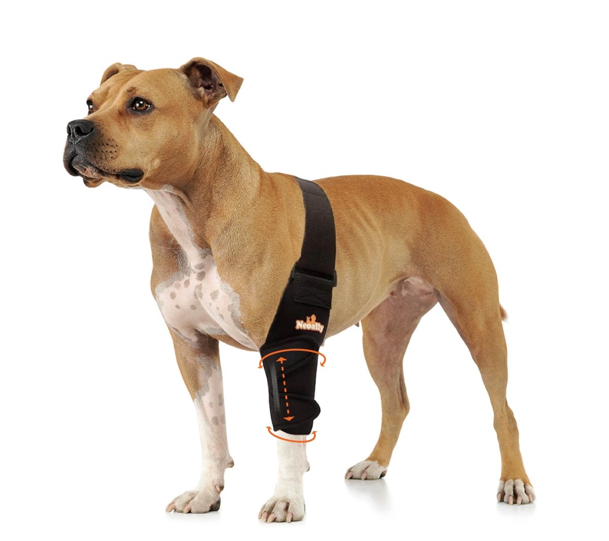 NeoAlly Elbow & Shoulder Brace with Spring Inserts