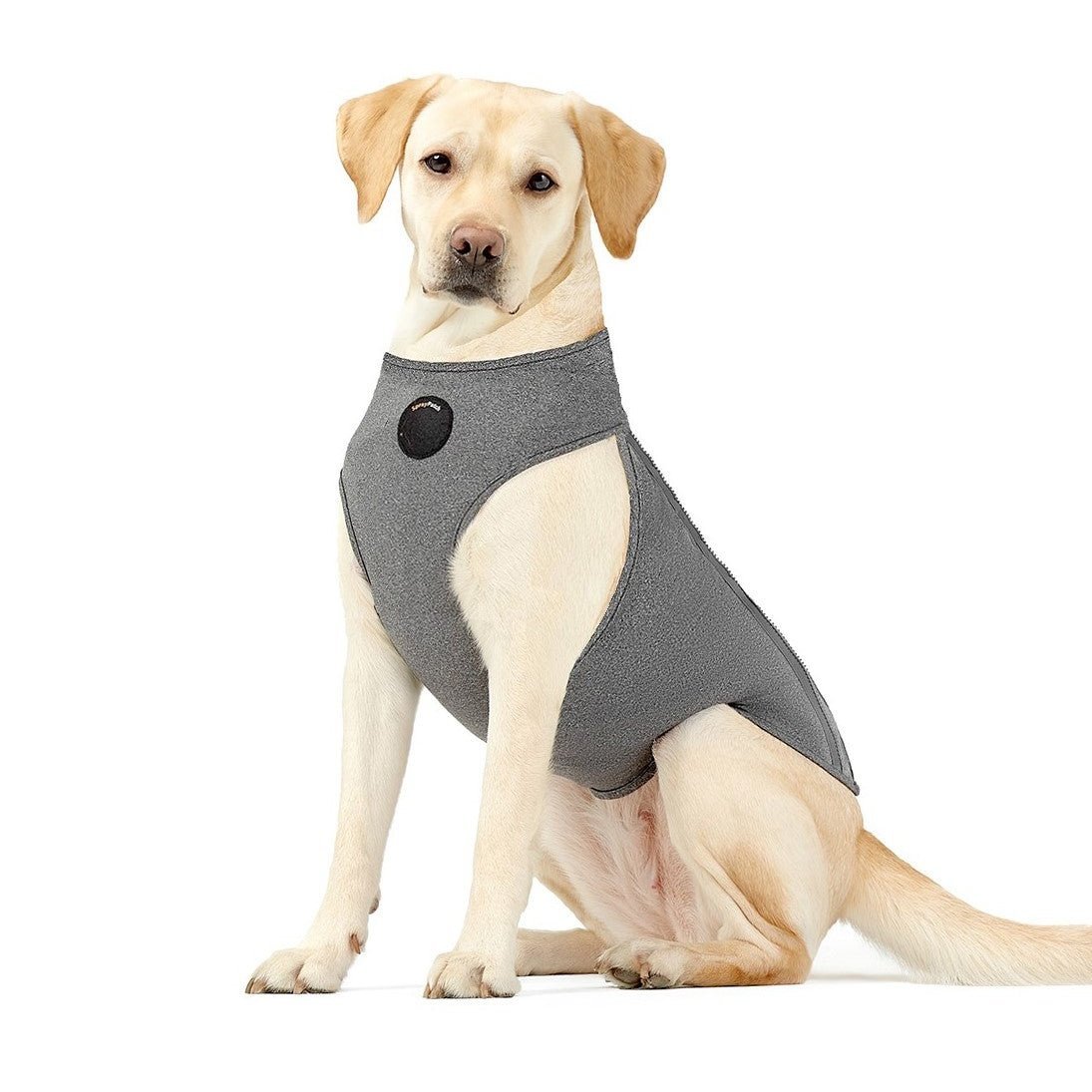 NeoAlly Recovery Suit (Cone Alternative)