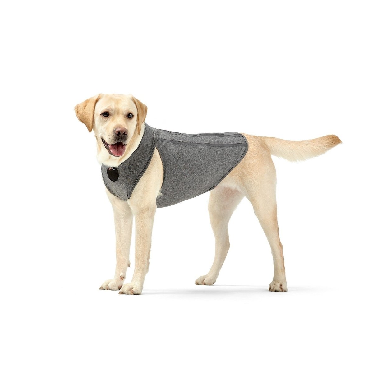 NeoAlly Recovery Suit (Cone Alternative)