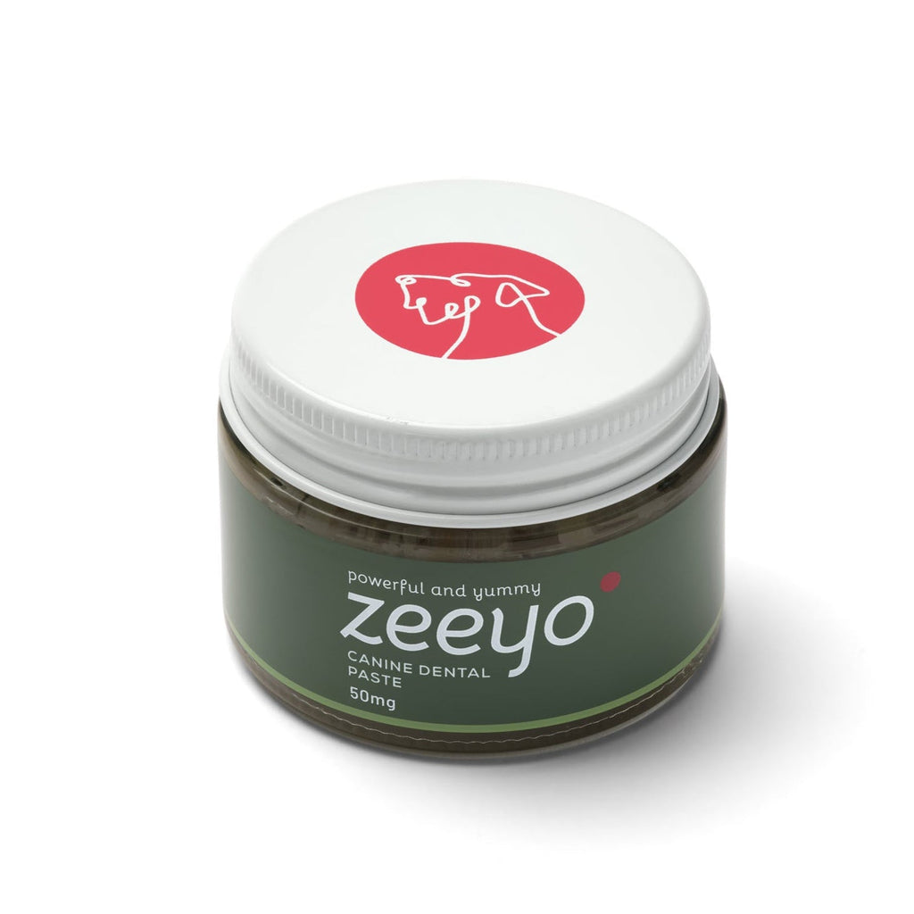 Gentle Dental Care Kit